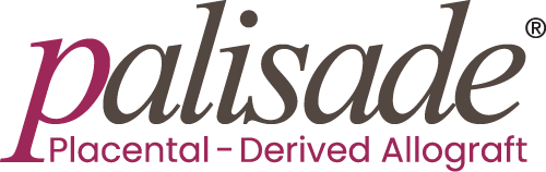 Palisade manufacturer wordmark